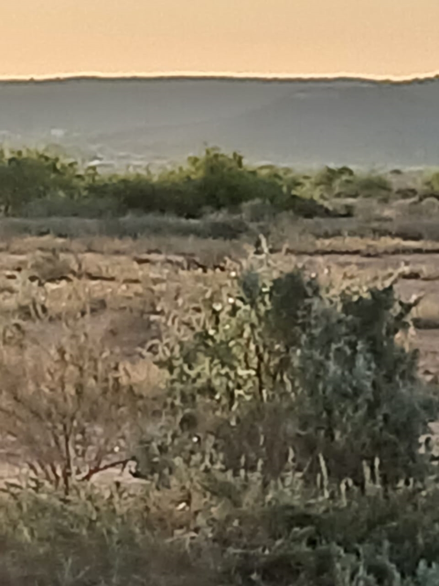 Commercial Property for Sale in Vanwyksvlei Northern Cape